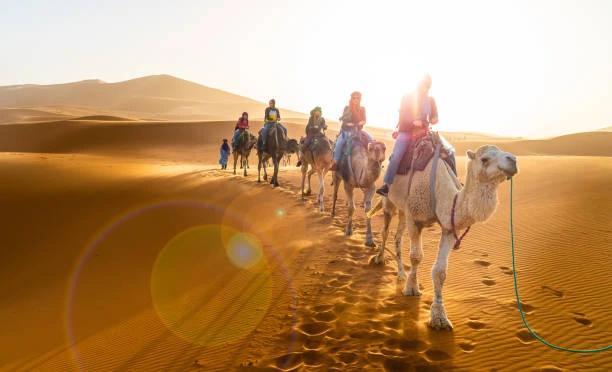 merzouga desert