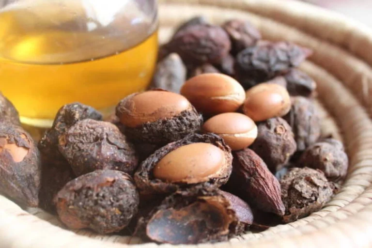 agadir argan oil